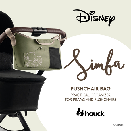 Pushchair Bag