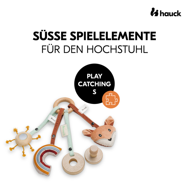 Play Catching S Fox