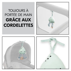 Toujours à portée de main grâce aux bandes