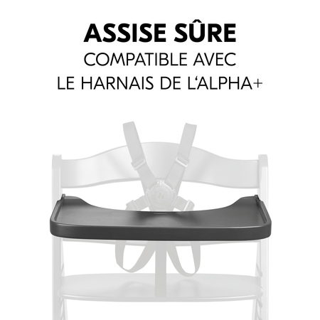 Assise sûre avec la tablette et le harnais