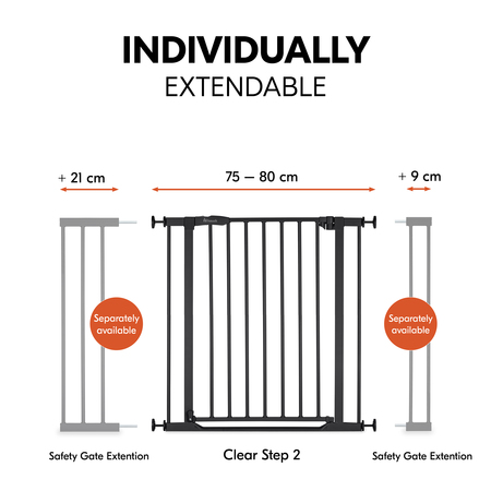 Expandable with separate extensions