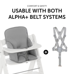 Usable with 5-point harness & safety strap