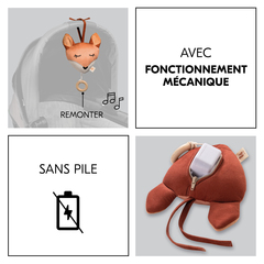 Avec mécanisme