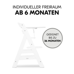 Sicheres Sitzen mit Essbrett und Gurtsystem