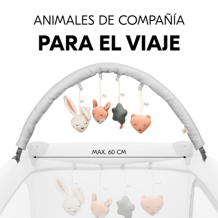 Animales de compañía para paseos