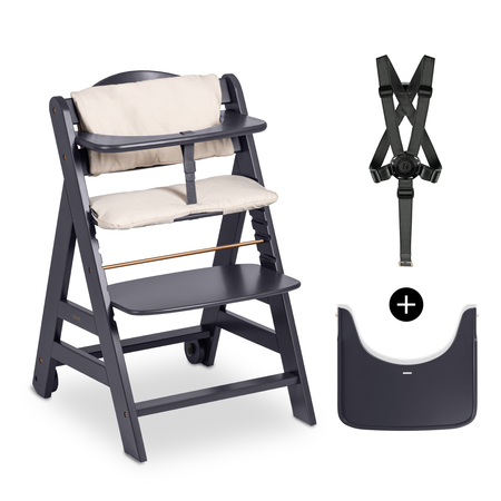 hauck Alpha Plus Set de Trona Evolutiva Bebe con Bandeja y Cojín de 2  Piezas, Trona Evolutiva Madera, Tronas de Bebe Evolutiva, Sillas Tronas  para Bebe - Charcoal/ : : Bebé