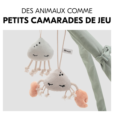 Des animaux comme camarades de jeu