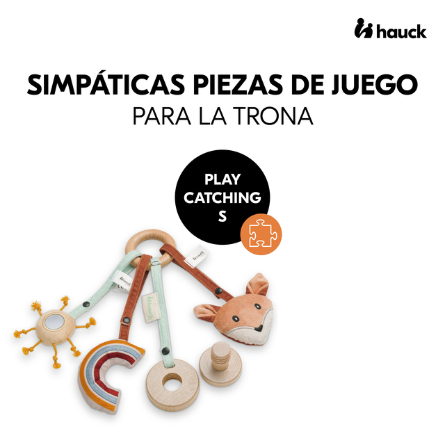 Play Catching S Fox