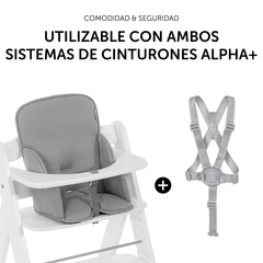EL SOPORTE SE PUEDE UTILIZAR CON AMBOS SISTEMAS DE CORREAS ALPHA+