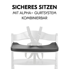 Sicheres Sitzen mit Essbrett und Gurtsystem