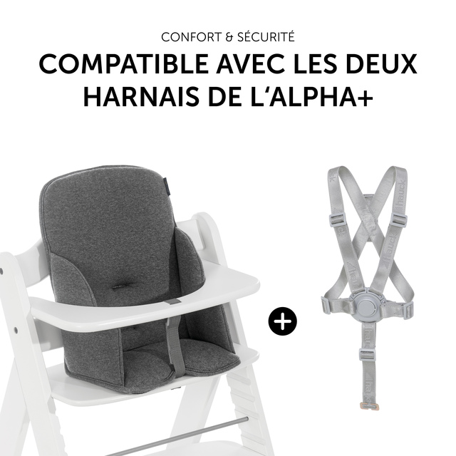 Alpha Cosy Select Jersey Charcoal