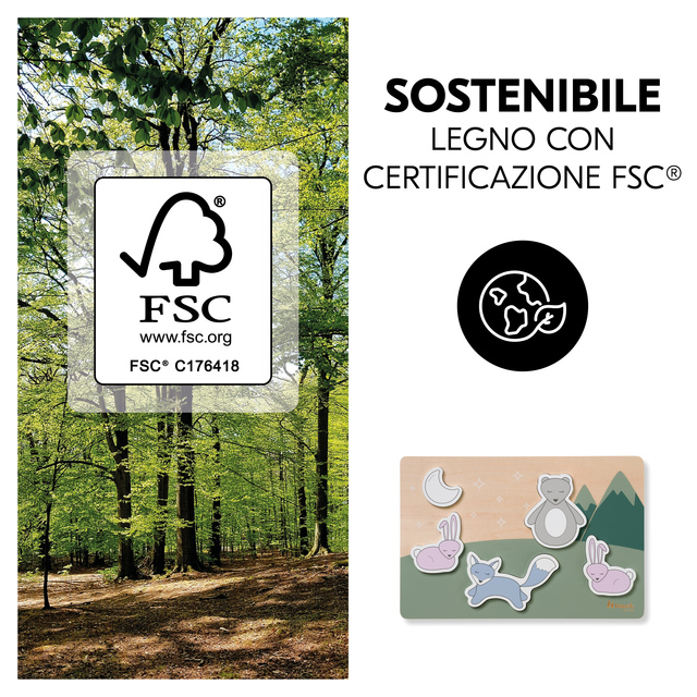 Puzzle N Fit Forest
