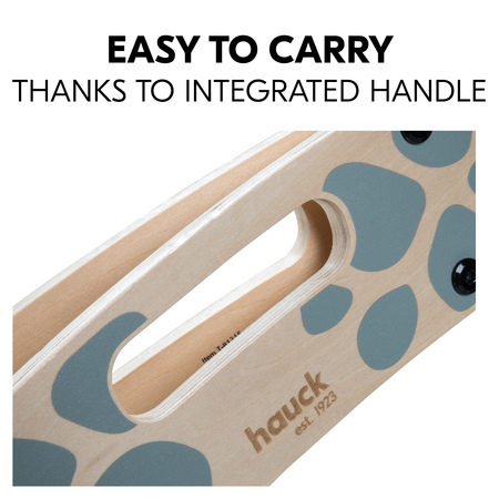 Easy to carry thanks to integrated handle