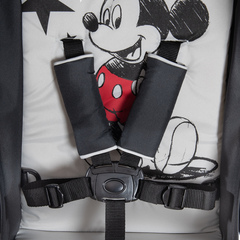 Seat belt and brake for safety