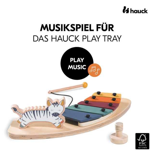 Play Music Zebra