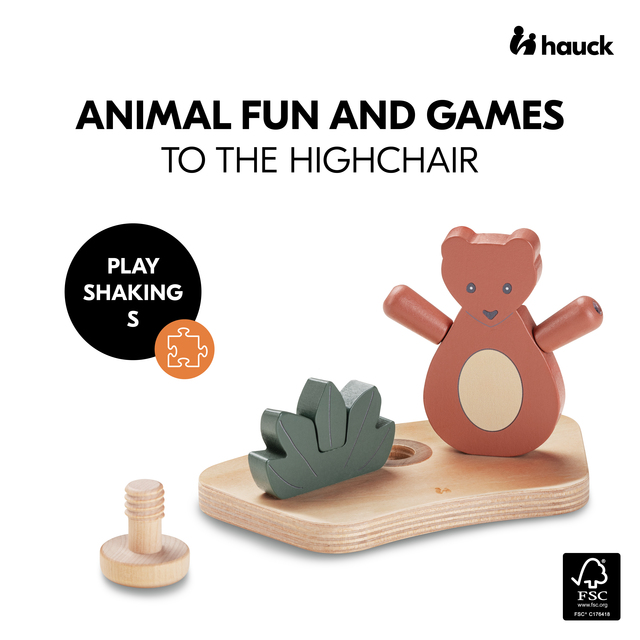 Play Shaking S Bear