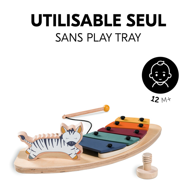Play Music Zebra