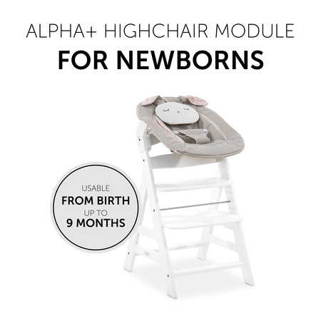 Highchair module for new-born babys