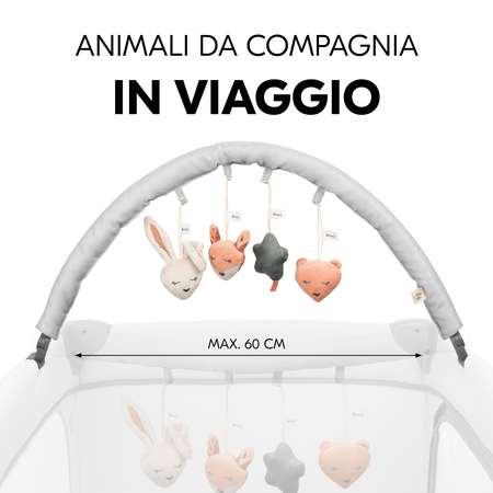 Animali da compagnia a passeggio