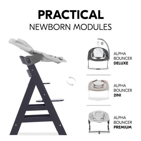 Hauck alpha newborn set deluxe sales