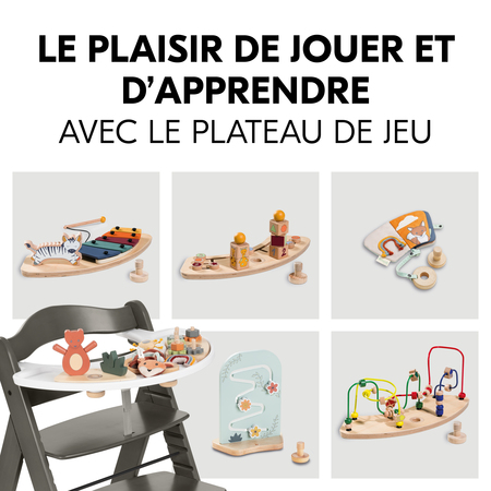 Amusement et apprentissage 