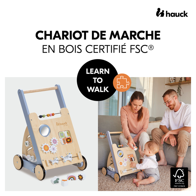 Learn to Walk Skills