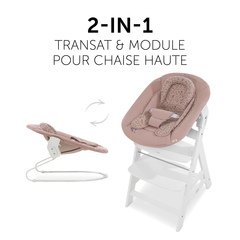 Transat et module de chaise haute 2en1