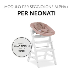 Modulo per seggiolone pappa