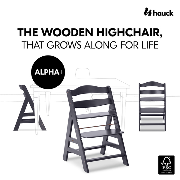 Alpha Dark Grey Hauck USA