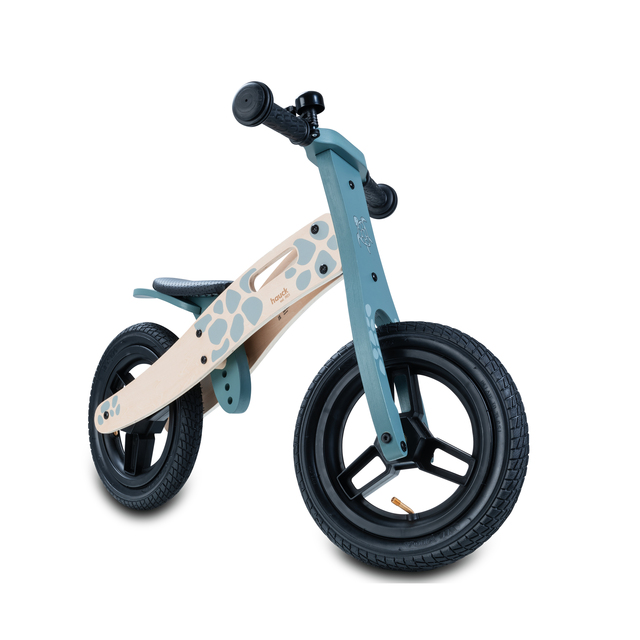 Balance N Ride Turtle