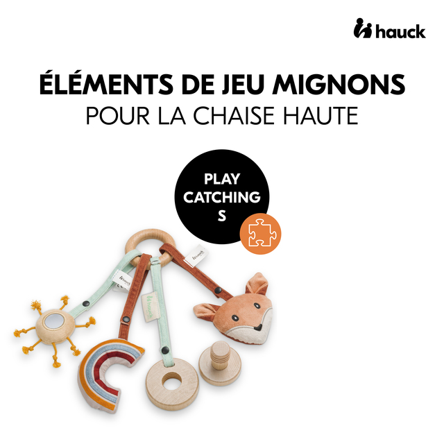 Play Catching S Fox