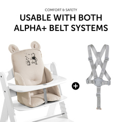 Usable with 5-point harness & safety strap