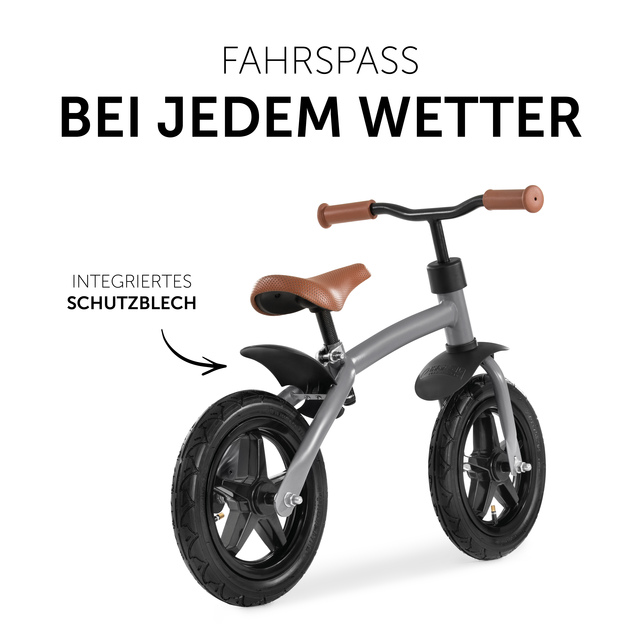 E Z Rider 12 Matt Grey