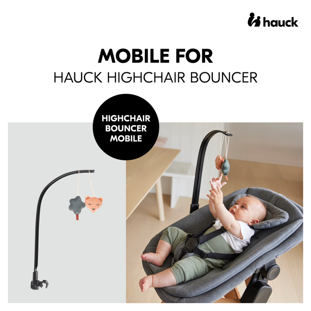 Highchair Bouncer Mobile hauck 4007923664308 Bear
