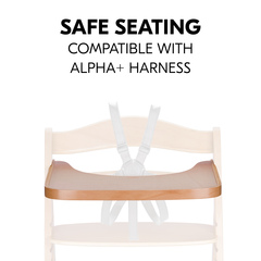 Safe seating in combination with the harness