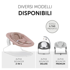 Diversi modelli disponibili