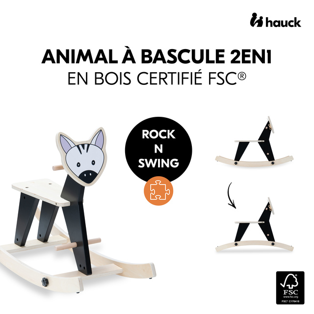 Rock N Swing Zebra