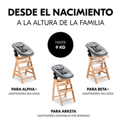 Hamaca y asiento para recién nacido