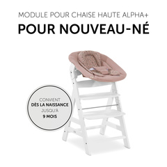 Module de chaise haute pour nouveau-nés