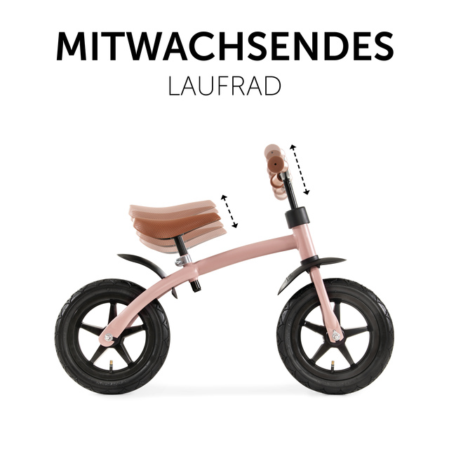 E Z Rider 12 Matt Rose