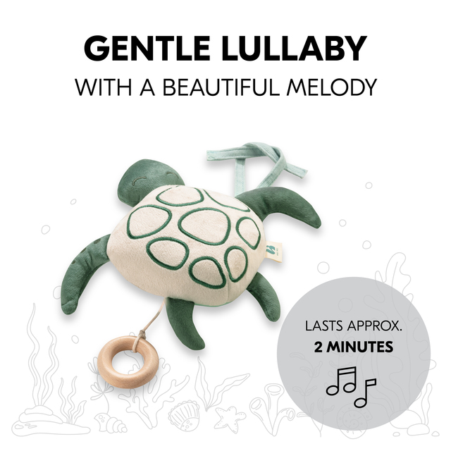 Cuddle N Sleep Turtle