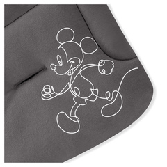 Per veri fan Disney