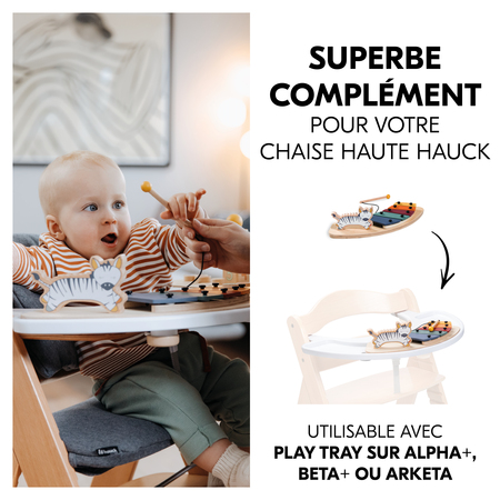 Complément pour votre chaise haute hauck