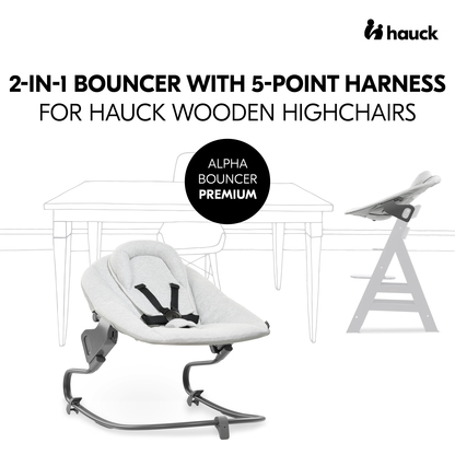 Alpha Bouncer Premium with 5-point harness