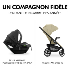 Compagnons fidèles pendant des années