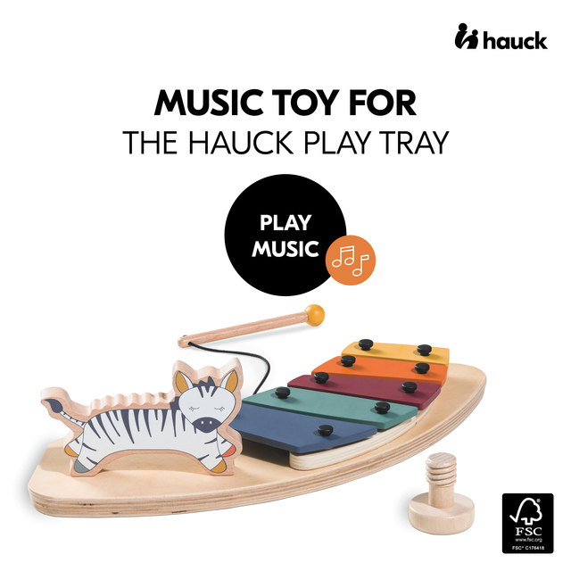 Play Music Zebra