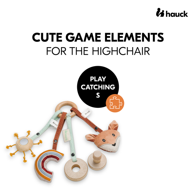 Play Catching S Fox