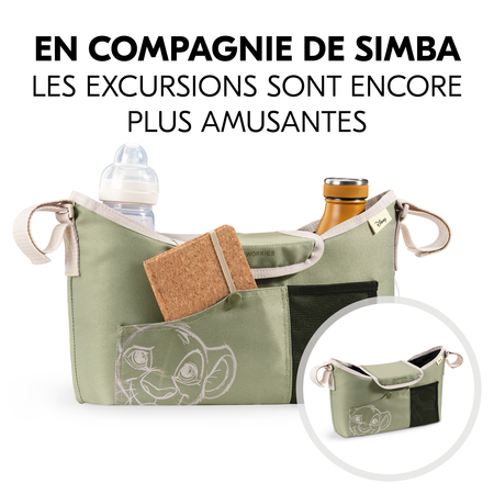 Compagnon pratique pour les fans de Disney