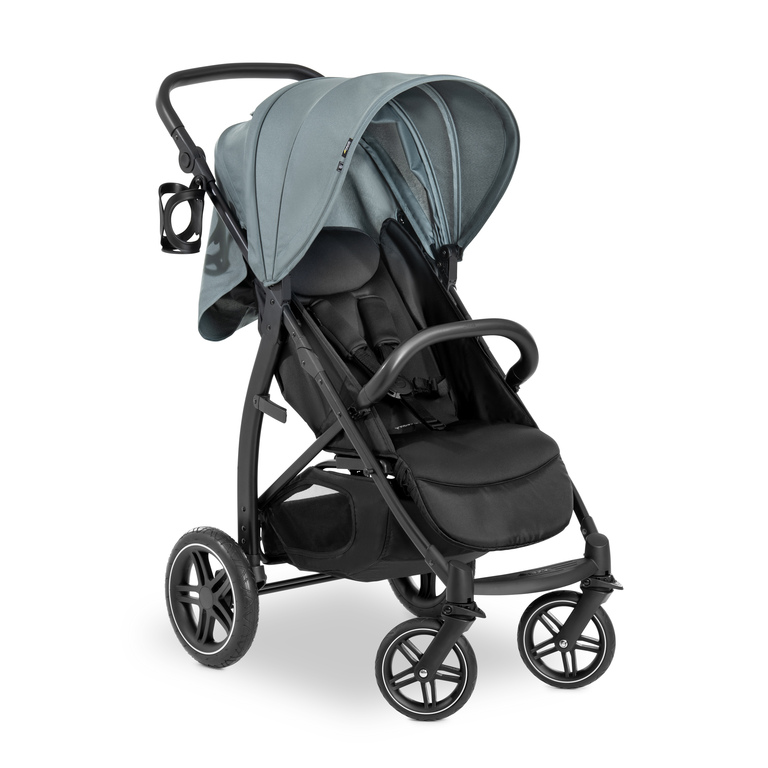 Hauck pushchair online reviews