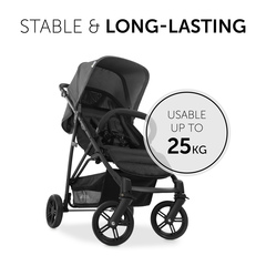 Stable and long-lasting companion